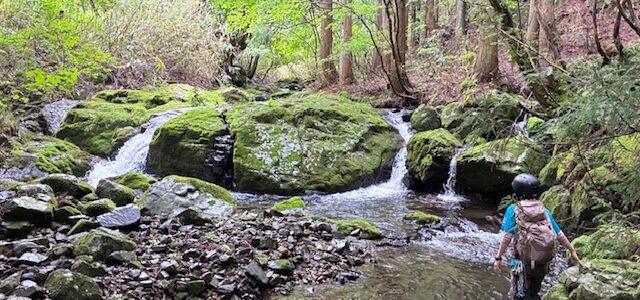 2025年6月会山行　山乗渓谷　沢登り